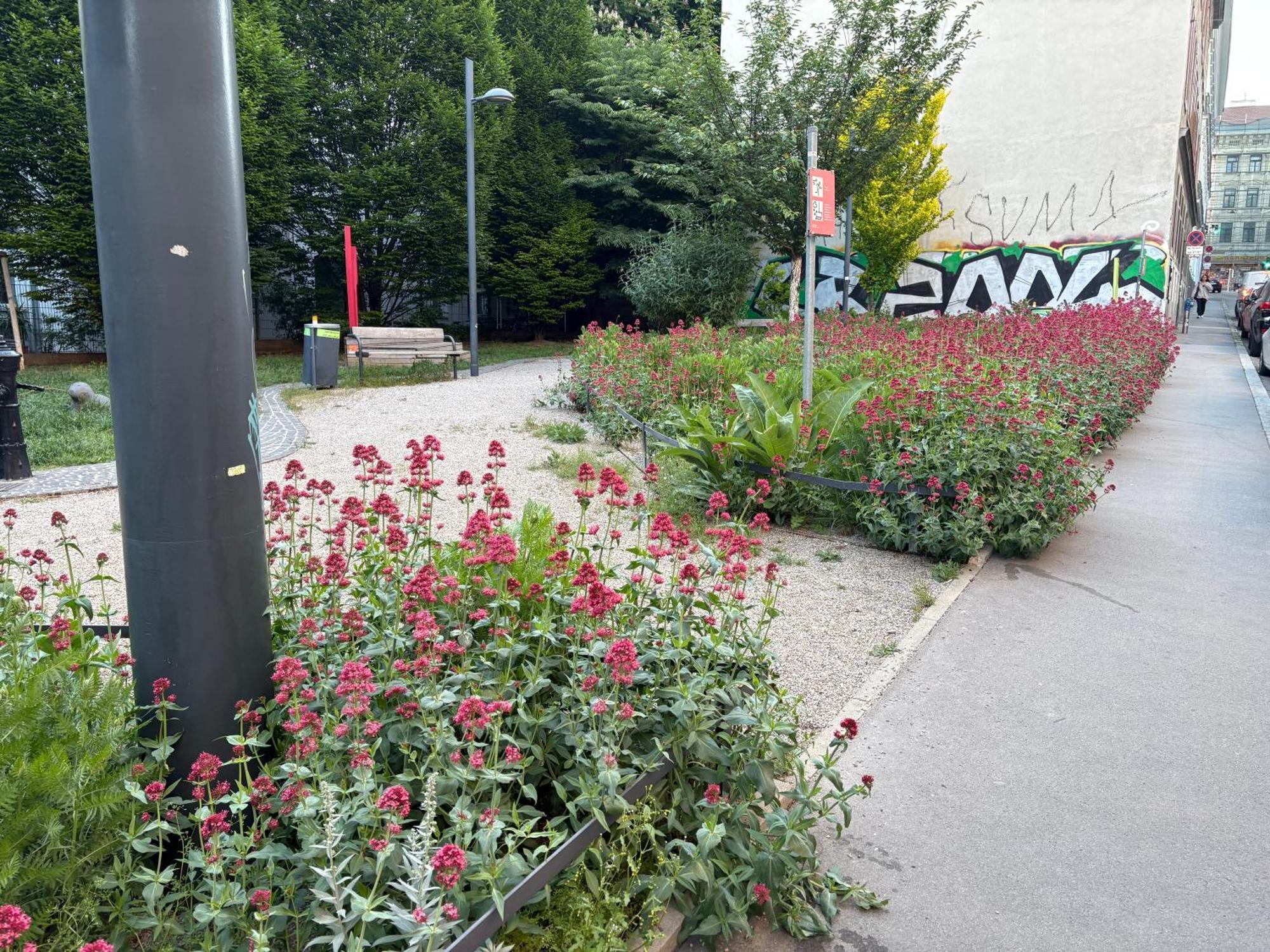 Apartment Geibel T4 - 85M2 - Highspeed Internet - Hundefreundlich Bécs Kültér fotó